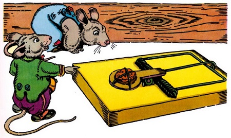 Thuốc diệt chuột hiệu quả
