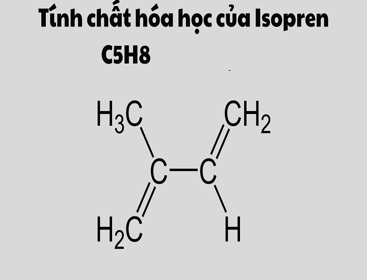 Cao su isopren là polime gì và các tính chất hóa học - Tin nhanh 12h